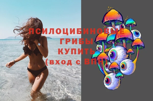 эйфоретик Алексин