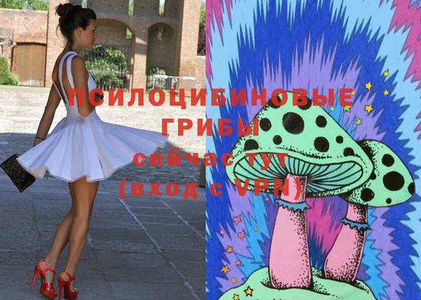 винт Алзамай