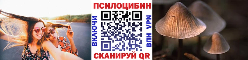 mega ССЫЛКА  Гвардейск  Псилоцибиновые грибы мицелий 