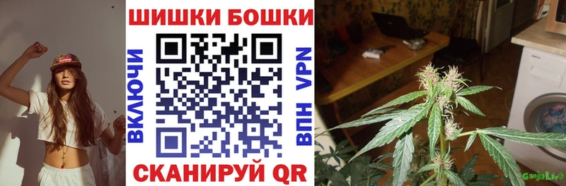 цены   Гвардейск  Бошки марихуана THC 21% 